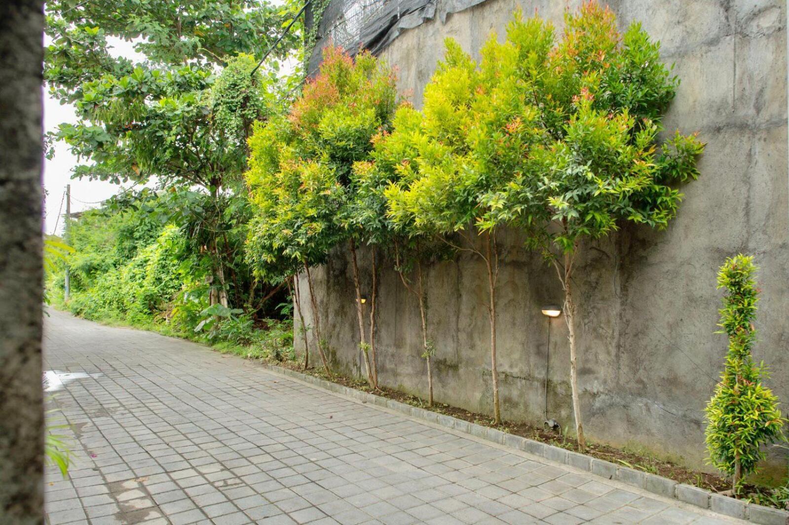 A7 Guesthouse Canggu Zewnętrze zdjęcie
